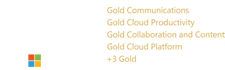 Microsoft Partner